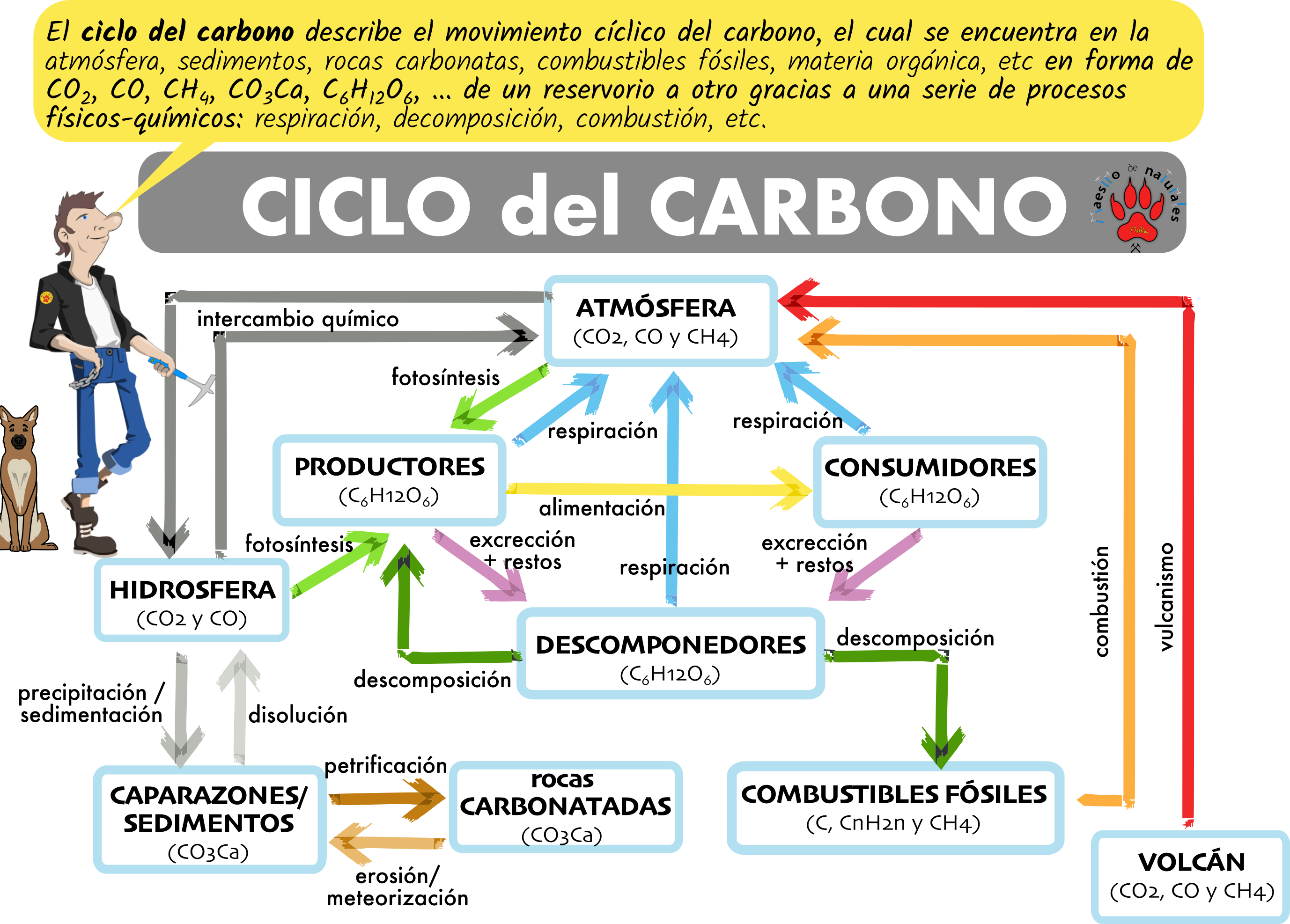 46 Mapa Mental Del Ciclo Del Carbono Articulo Images 9414